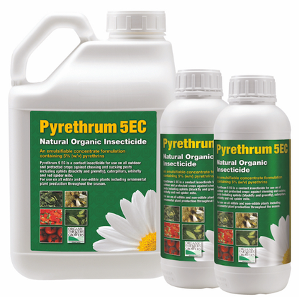 Pyrethrum vs Pyrethrin Uses Pyrethrum vs Pyrethrin Uses