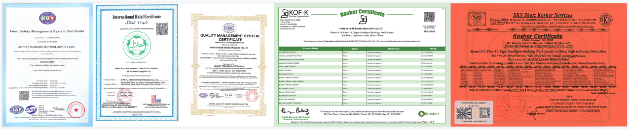 Swmp Powdwr Curcumin Manufacturer Swmp Powdwr Curcumin Manufacturer